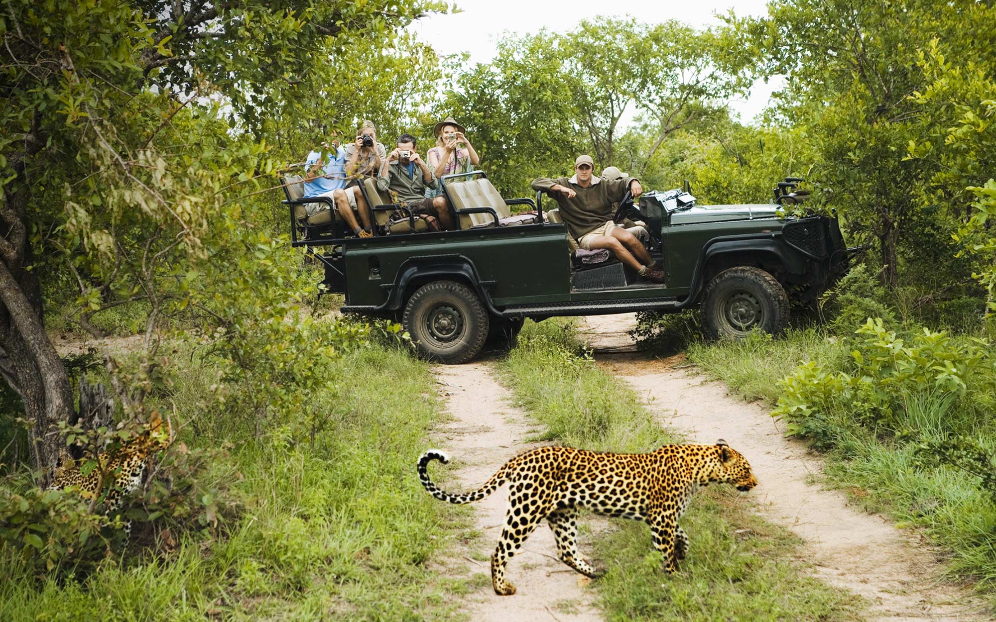 Game Drive